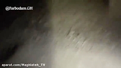 امیرم اس دی