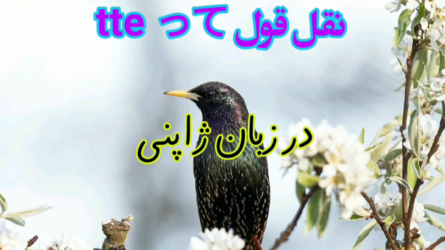 نقل قول tte در ژاپنی با پیج japans_nihongo گل گدوت