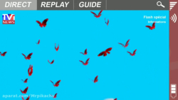 وقتی مرینت و ادرین معجزه گر ها...