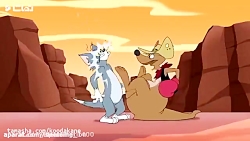 11 تام وجری  گربه  موش گربه