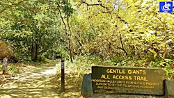 هندی وودز ، دسترسی به ویلچر در...