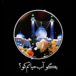 امام زمان، الا یا ایها الباقی