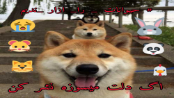 اگ دلت میسوزه نشر کن..... ಠ﹏ಠ