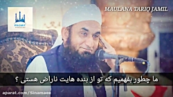 مولانا طارق جمیل