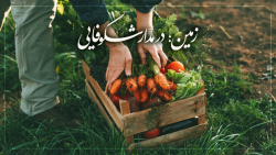 زمین; در مدار شکوفایی (انواع غ...