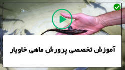 آموزش پرورش ماهی خاویار-اصول بهداشتی و بیماری های رایج و درمان آنها