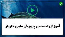 آموزش پرورش ماهی خاویار-پرورش انواع ماهی- آموزش گام به گام ساختن استخر سیمانی