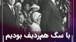 ورود ایرانی و سگ ممنوع