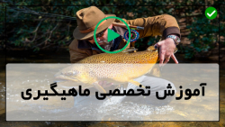 آموزش ماهیگیری-ماهیگیری با قلاب دست -ماهیگیری-ماهیگیری برای مبتدیان