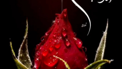 کلیپ نوشته زیبا تبریک تولد عاش...