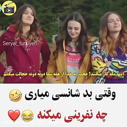 ستاره ی شمالی