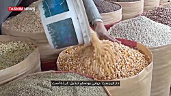 شهر قدیم صنعا، موزه زنده زخم خ...