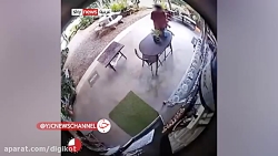 لحظه حمله دلهره آور مار بزرگ به مرد جوان لحظه حمله دلهره آور مار بزرگ به مرد جوان