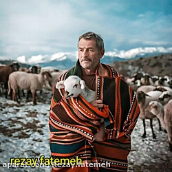 داستانک انگیزشی با صدای فاطمه رضای داستانک انگیزشی با صدای فاطمه رضای