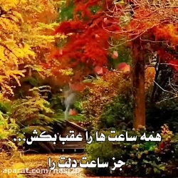 کلیپ قشنگ فرا رسیدن پاییز | دل...