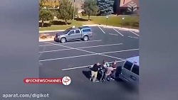 حمله سگ وحشی به دختر بچه