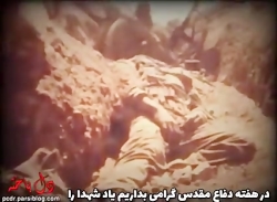 شهدا شرمنده ايم . . .