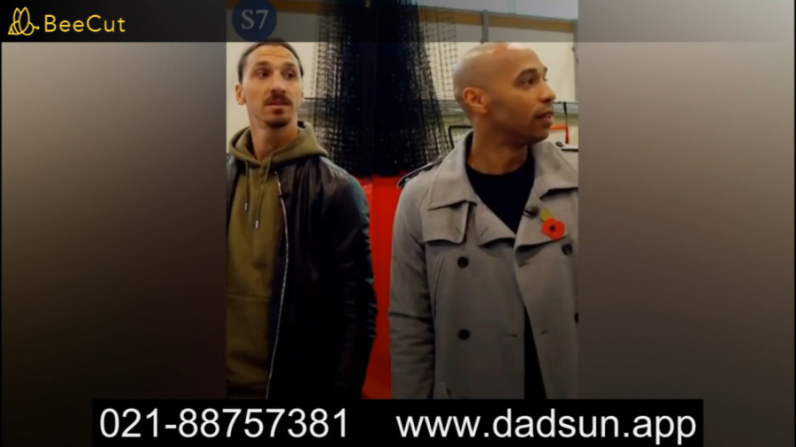 میشه زالاتان رو دوست نداشت؟