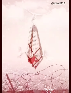 کلیپ هفته دفاع مقدس و شهدا