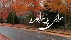 آهنگ زیبای مهدی احمدوند به نام...