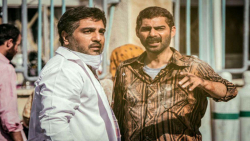 تیزر سینمایی درخت گردو