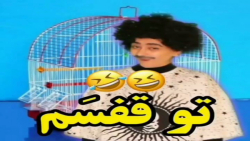 طنز سرنا امینی | سرنا امینی |...