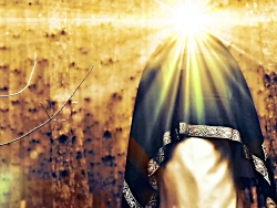 استوری امام زمان(سید مجید بنی‌...