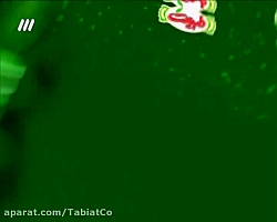 هفتمین قرعه کشی جشنواره بزرگ 1400 طبیعت
