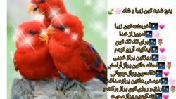 پنج شنبه تون عالی