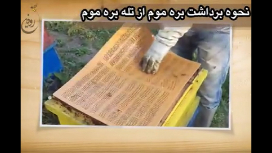 معرفی تله بره موم دومنظوره شرکت رودین زمان254ثانیه