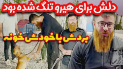 هیرو سگ حامد تبریزی  بعد از سه...