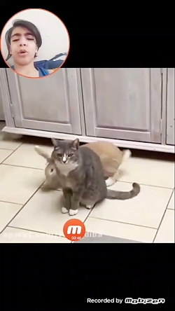 قسمت حیوونی با آوش صحابی بدون...