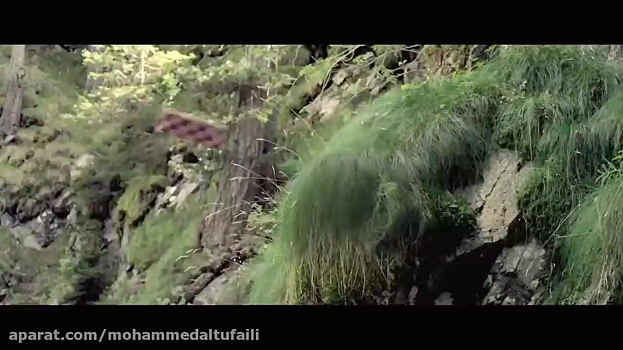 Minuscule Valley of the Lost Ants (2013) - رسمی تریلر زمان126ثانیه