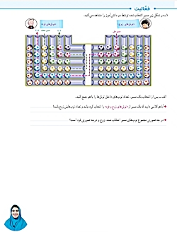 فعالیت صفحه ۴ کتاب ریاضی ششم