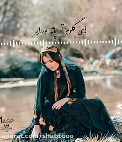 کلیپ محلی لری اهنگ لری  استوری...