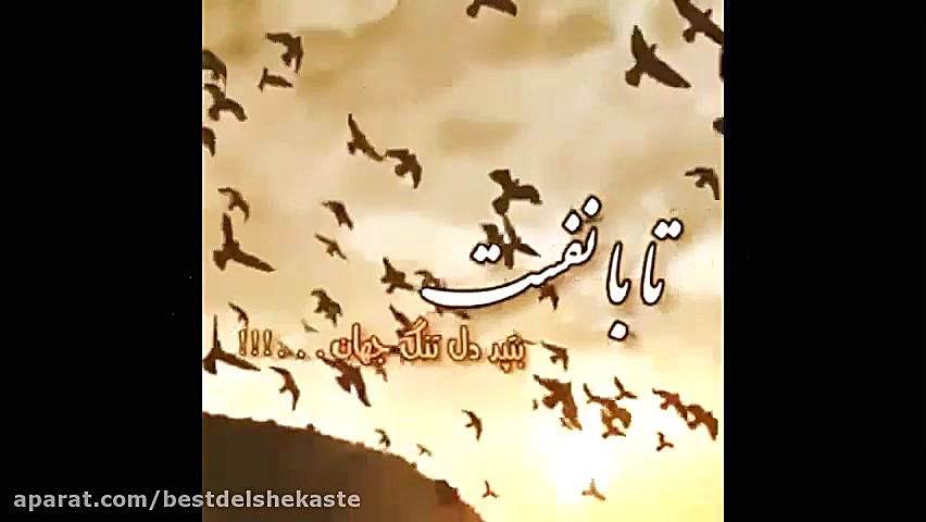 کلیپ عاشقانه دلتنگی / دلتنگ تو ام / کلیپ دلتنگی 1400 کاشت ابرو