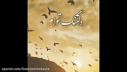 کلیپ عاشقانه دلتنگی  دلتنگ تو...