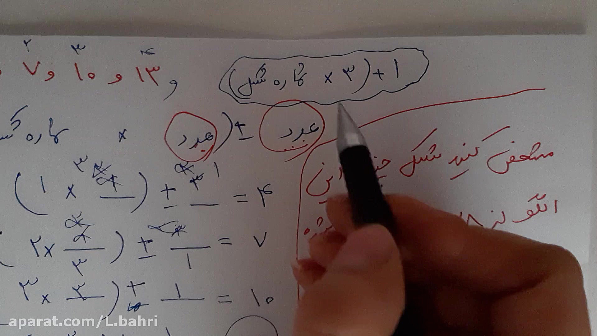 ادامه الگوی عددی لیلا بحری