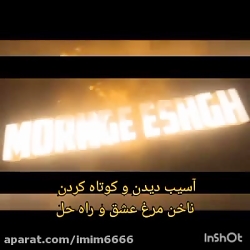آسیب دیدن و کوتاه کردن ناخن مرغ عشق و راه حل