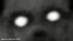 ویدو ترسناک از اخبار