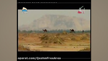 پوستر کوچک