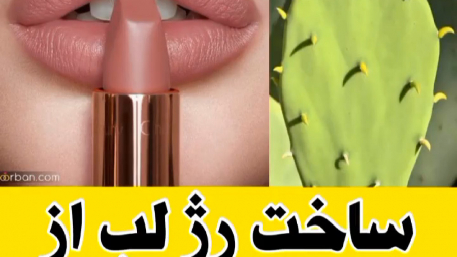 تولید رژ لب از حشرات