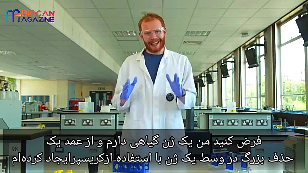 کروماتوگرافی و الکتروفورز سلفی کله‌معمولی