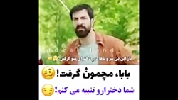 ستاره شمالی