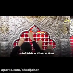 باسم الكربلائي، امشب روح و جان عزم مشهد دارد یا کربلا...