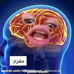 کلیپ طنز پریسا /پریسا پور مشکی / کلیپ خنده دار پریسا پور بلک