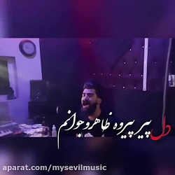 حمیدرضا بابایی شاه نشین