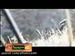 شکار دلخراش پرنده ها(18 )