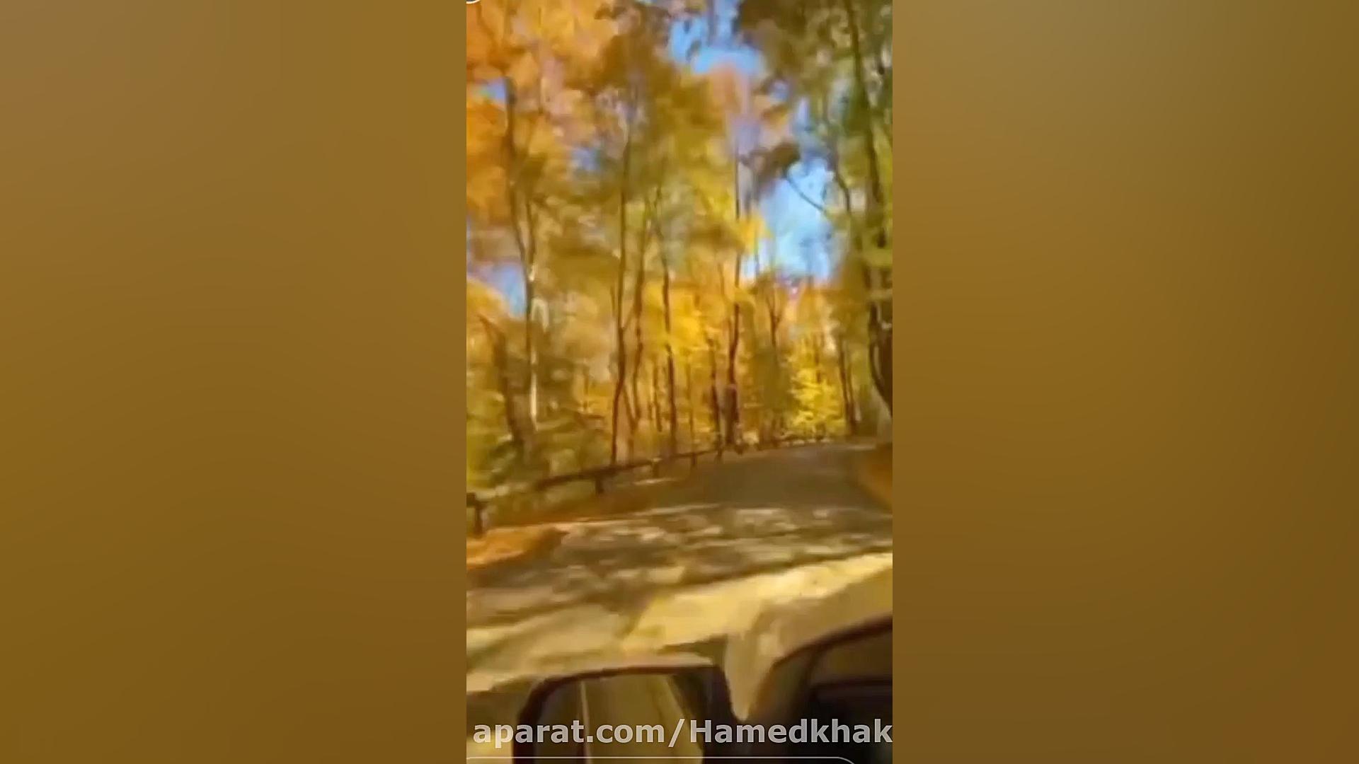 جاده موزیکال خرس پانداویچ