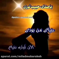 به یاد پدر | آهنگ غمگین پدر |...